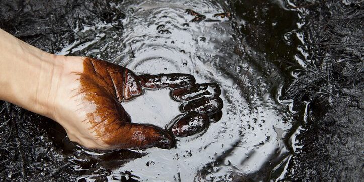 environmental impact environmental impact